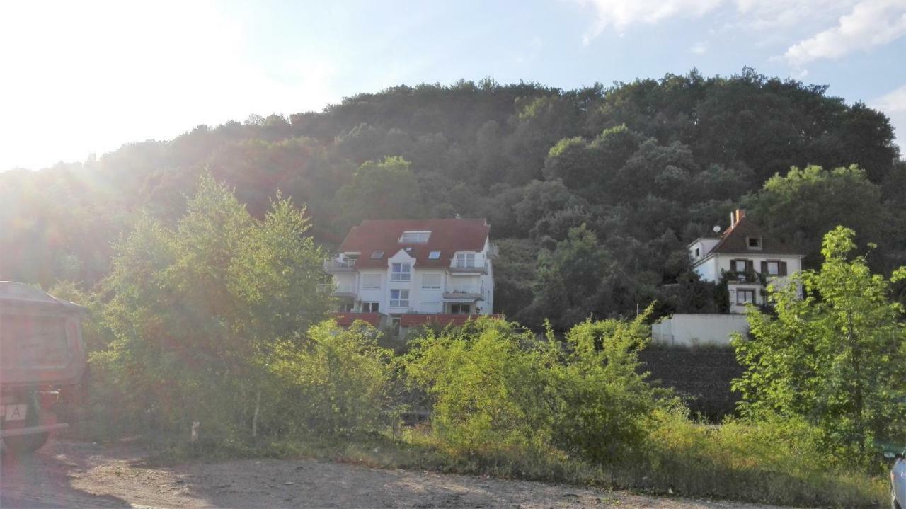 Ferienwohnung Anita Annweiler am Trifels Bagian luar foto